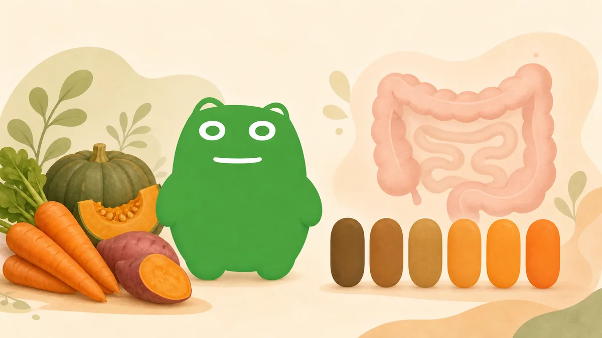 Orange Stool: Common Causes and When to Worry